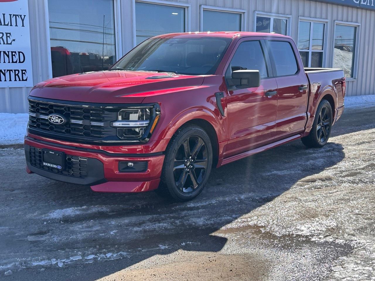 2025 Ford F-150 STX 4WD SuperCrew 5.5' Box Photo