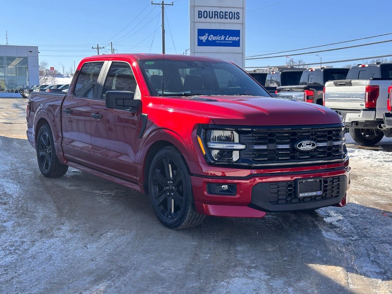2025 Ford F-150 STX 4WD SuperCrew 5.5' Box Photo3