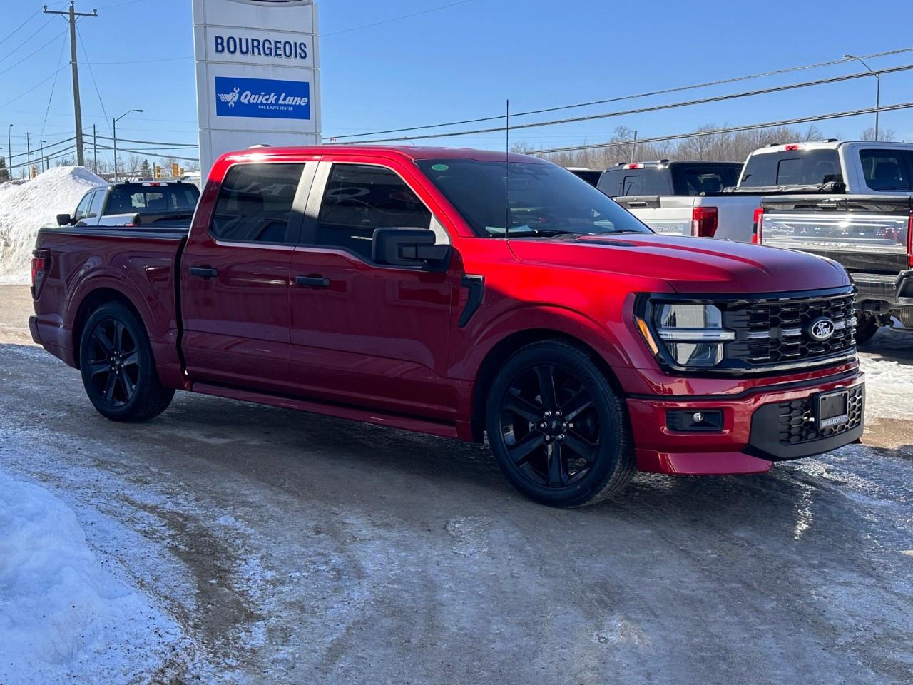 2025 Ford F-150 STX 4WD SuperCrew 5.5' Box Photo