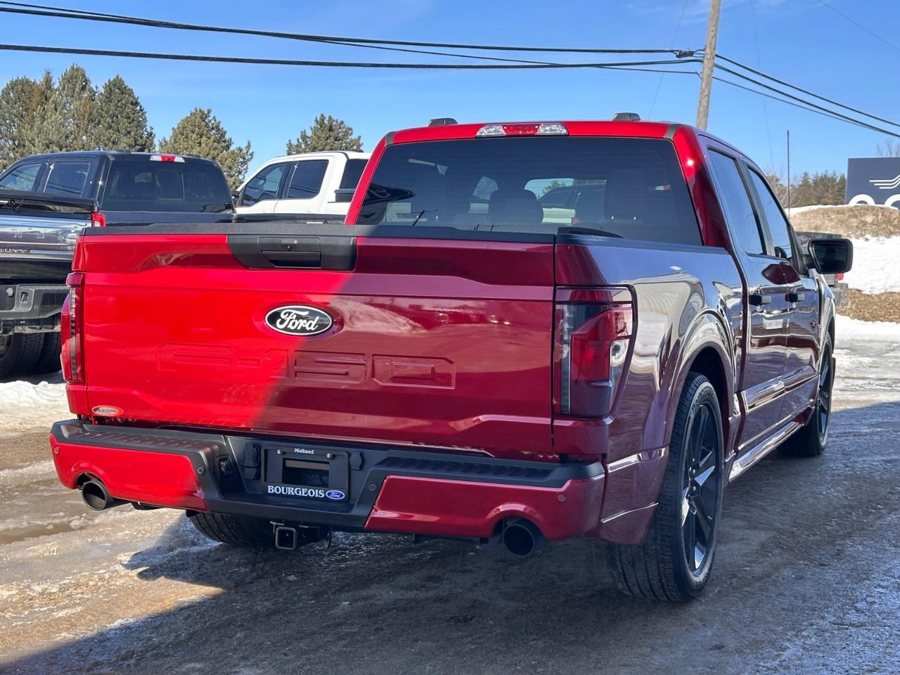 2025 Ford F-150 STX 4WD SuperCrew 5.5' Box Photo