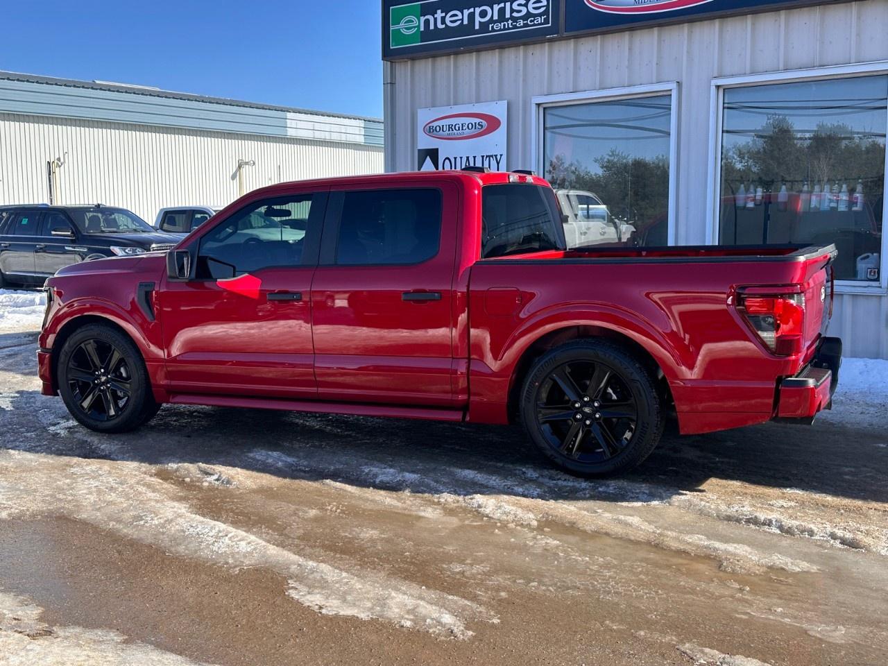 2025 Ford F-150 STX 4WD SuperCrew 5.5' Box Photo