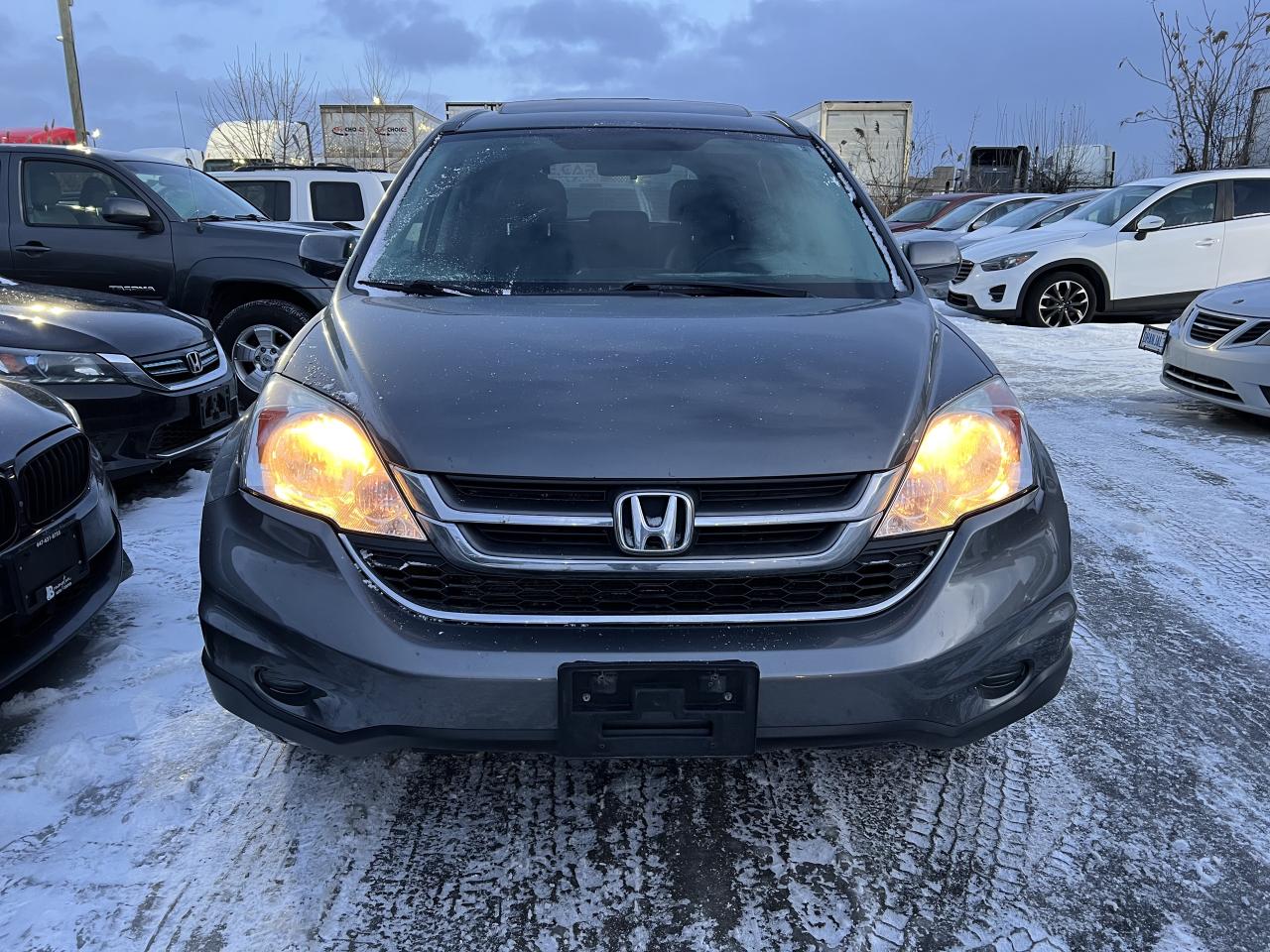 2010 Honda CR-V EX-L WITH NAVIGATION Photo