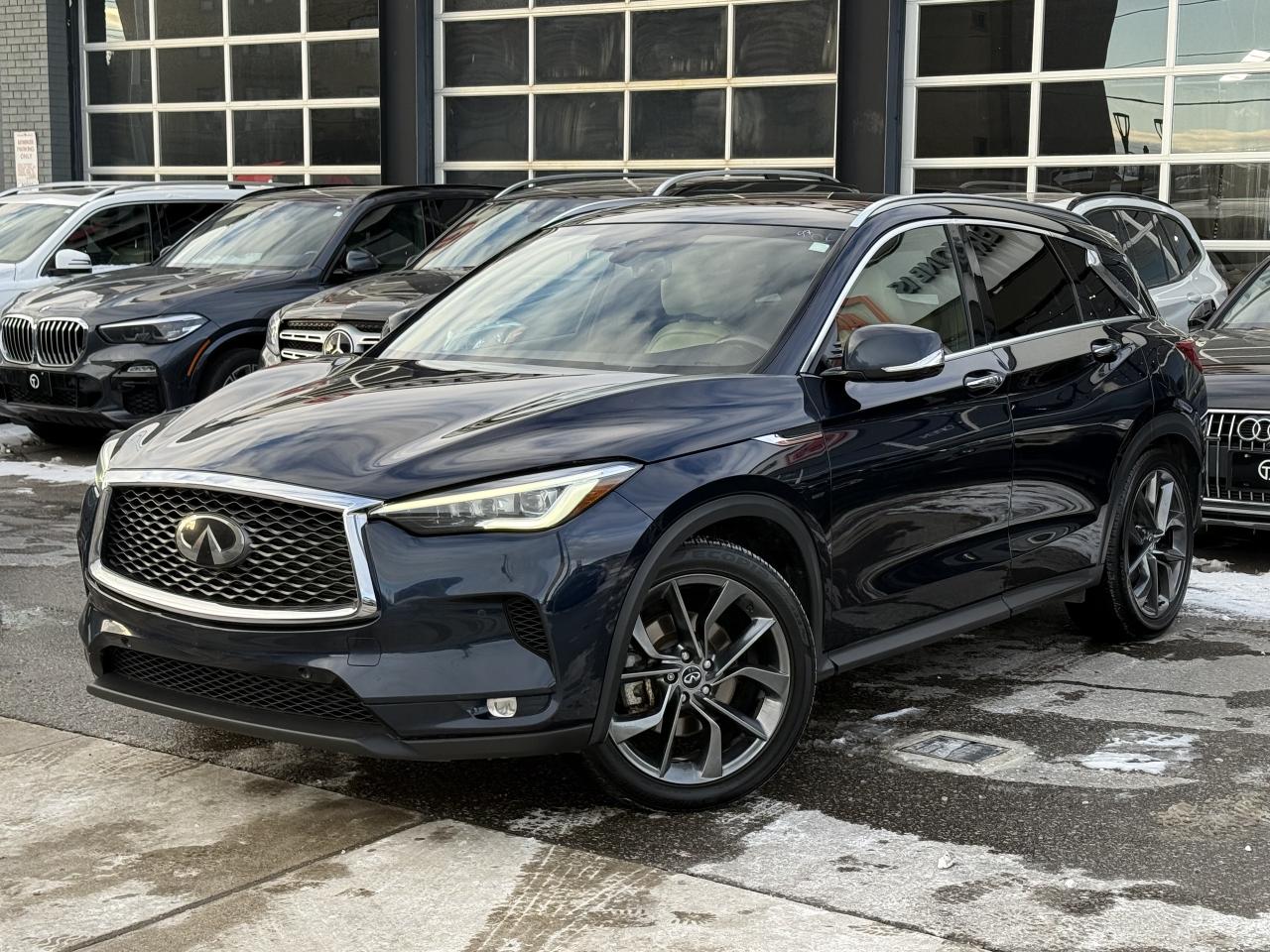 2019 Infiniti QX50 BOSE PERFORMANCE SERIES | PANO | 360 CAMERA | Photo3