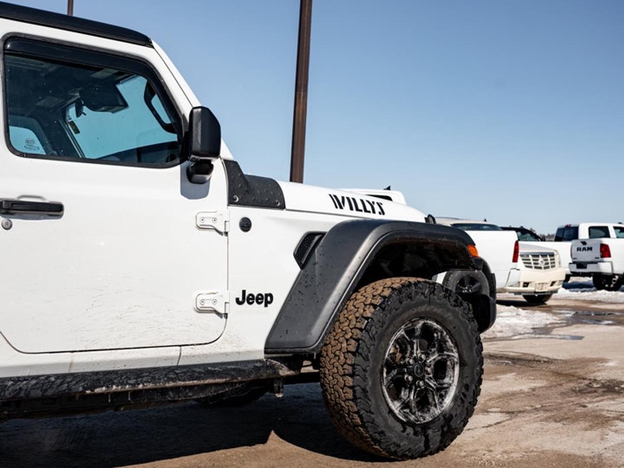 2024 Jeep Wrangler Willys Photo