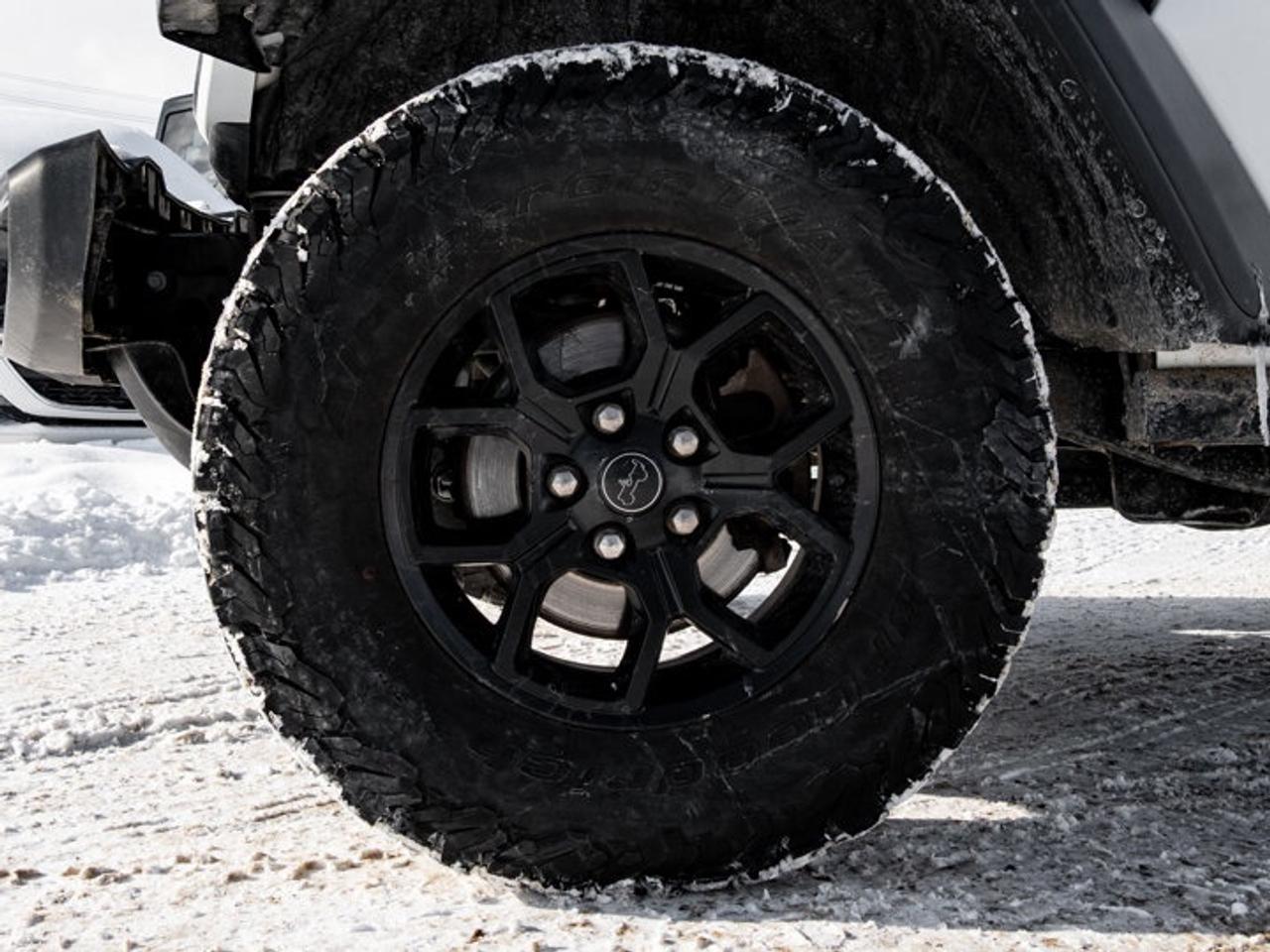 2024 Jeep Wrangler Willys Photo