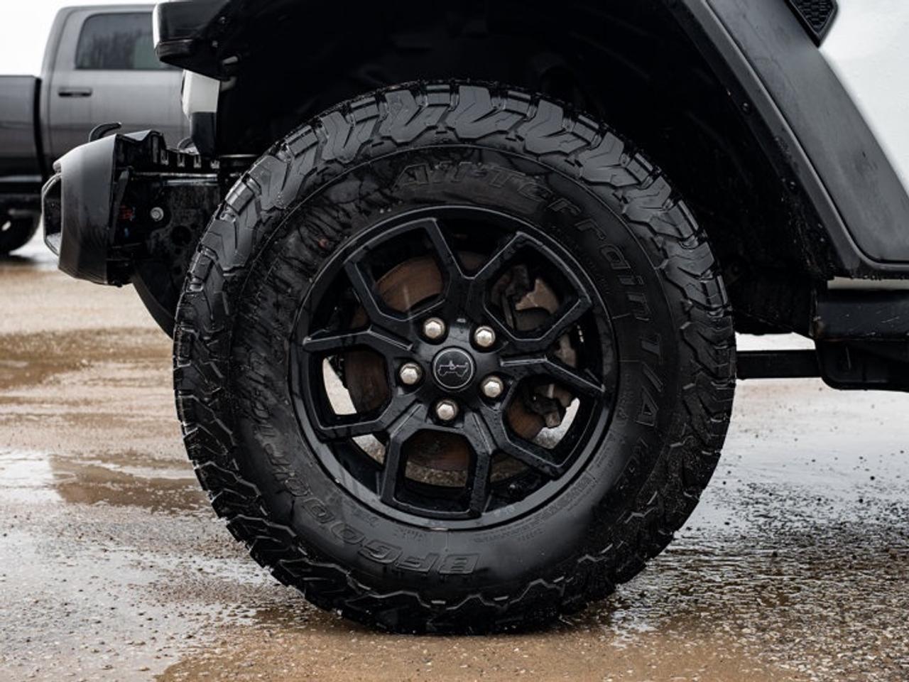 2024 Jeep Wrangler Willys Photo