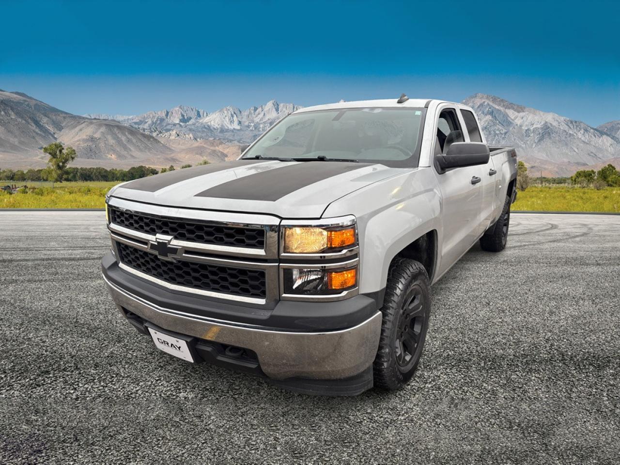 2015 Chevrolet Silverado 1500 LS - Photo #1