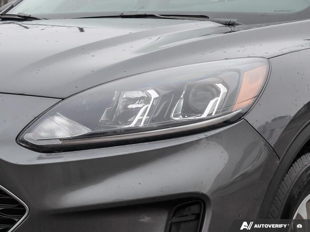 2022 Ford Escape SE Hybrid Photo