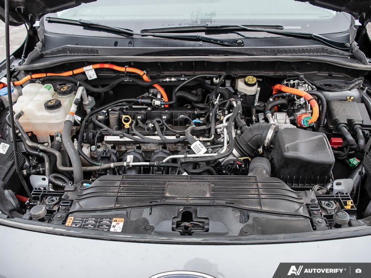 2022 Ford Escape SE Hybrid Photo