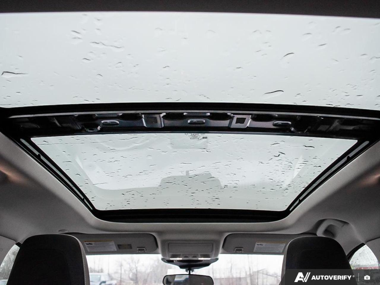 2022 Ford Escape SE Hybrid Photo