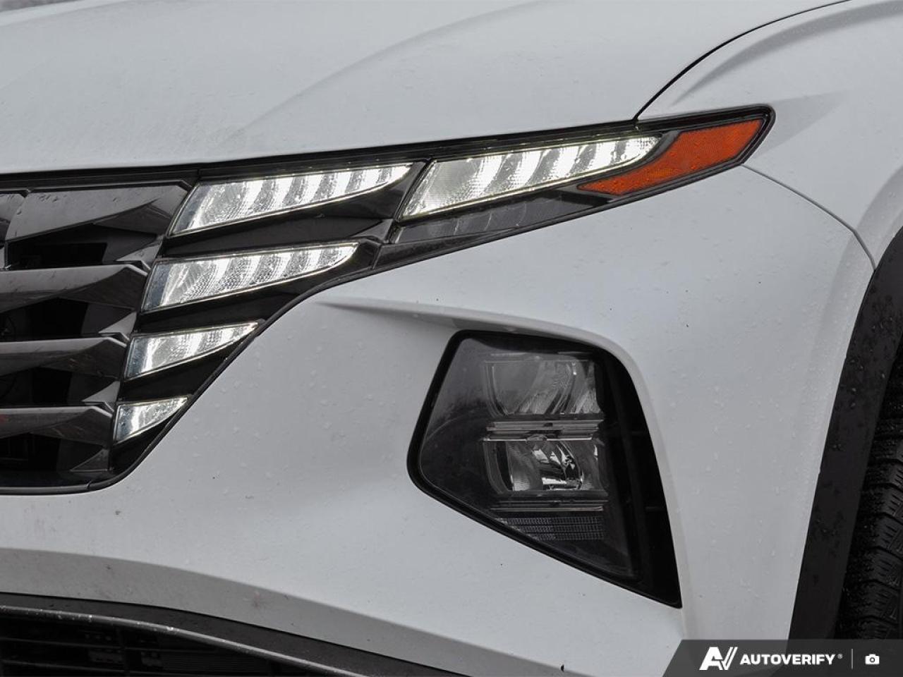 2022 Hyundai Tucson Hybrid Luxury Photo