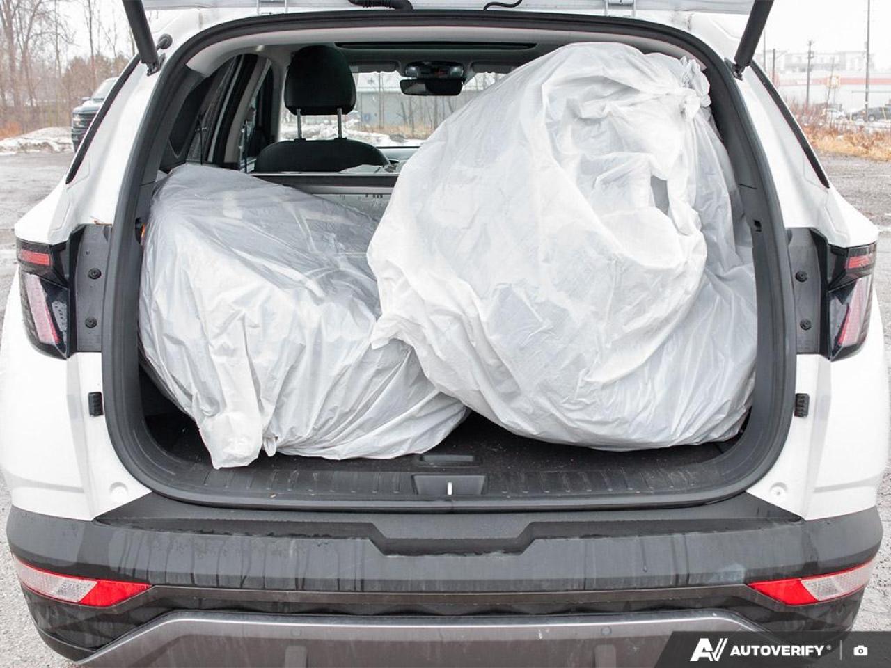 2022 Hyundai Tucson Hybrid Luxury Photo