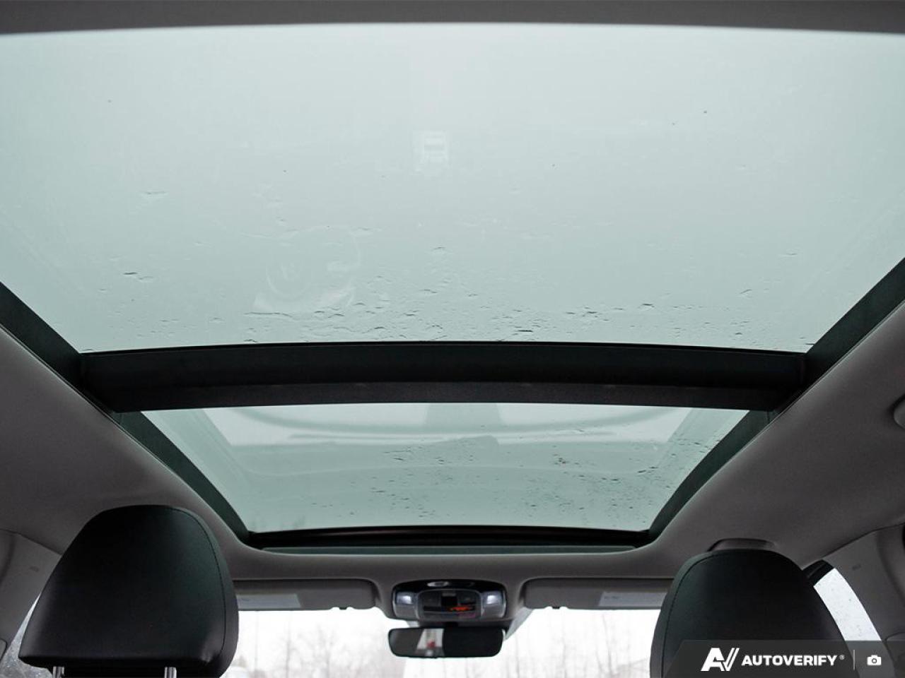 2022 Hyundai Tucson Hybrid Luxury Photo