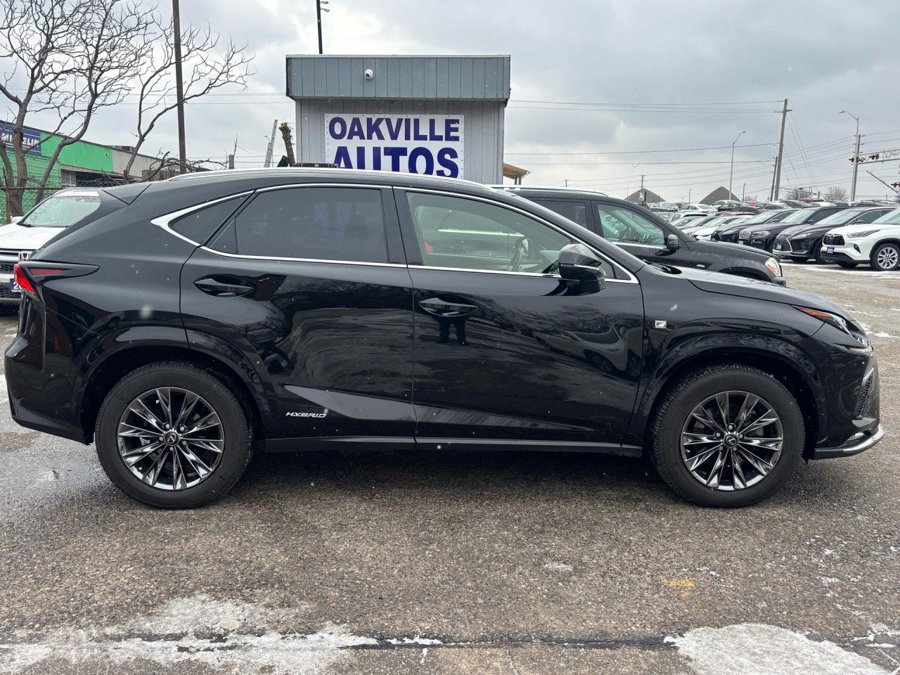 2021 Lexus NX NX 300H F-Sport 2 Hybrid AWD Photo