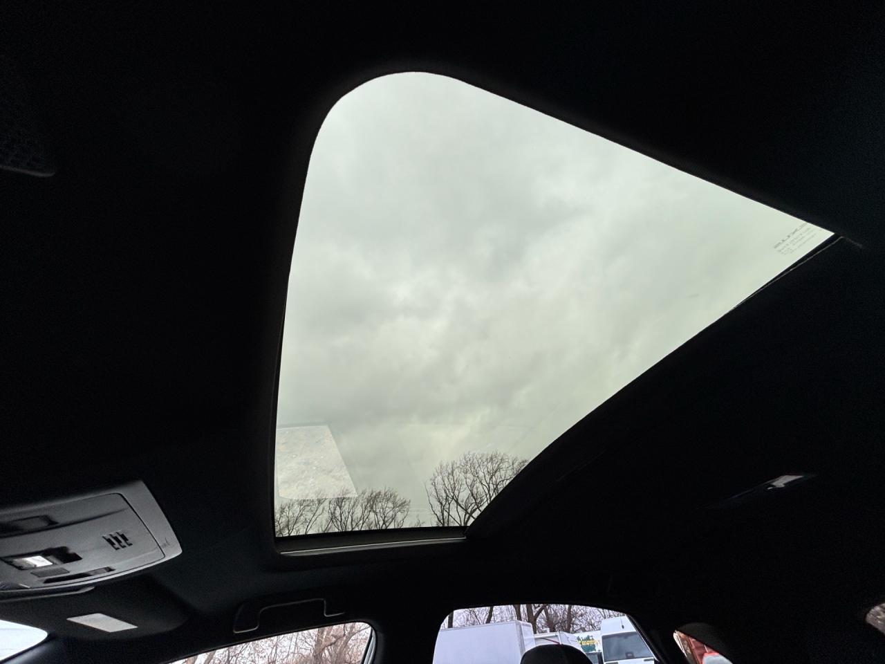 2021 Lexus NX NX 300H F-Sport 2 Hybrid AWD Photo