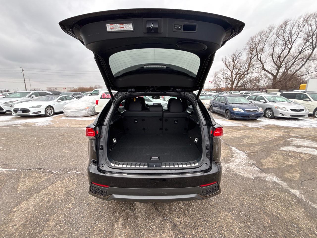 2021 Lexus NX NX 300H F-Sport 2 Hybrid AWD Photo