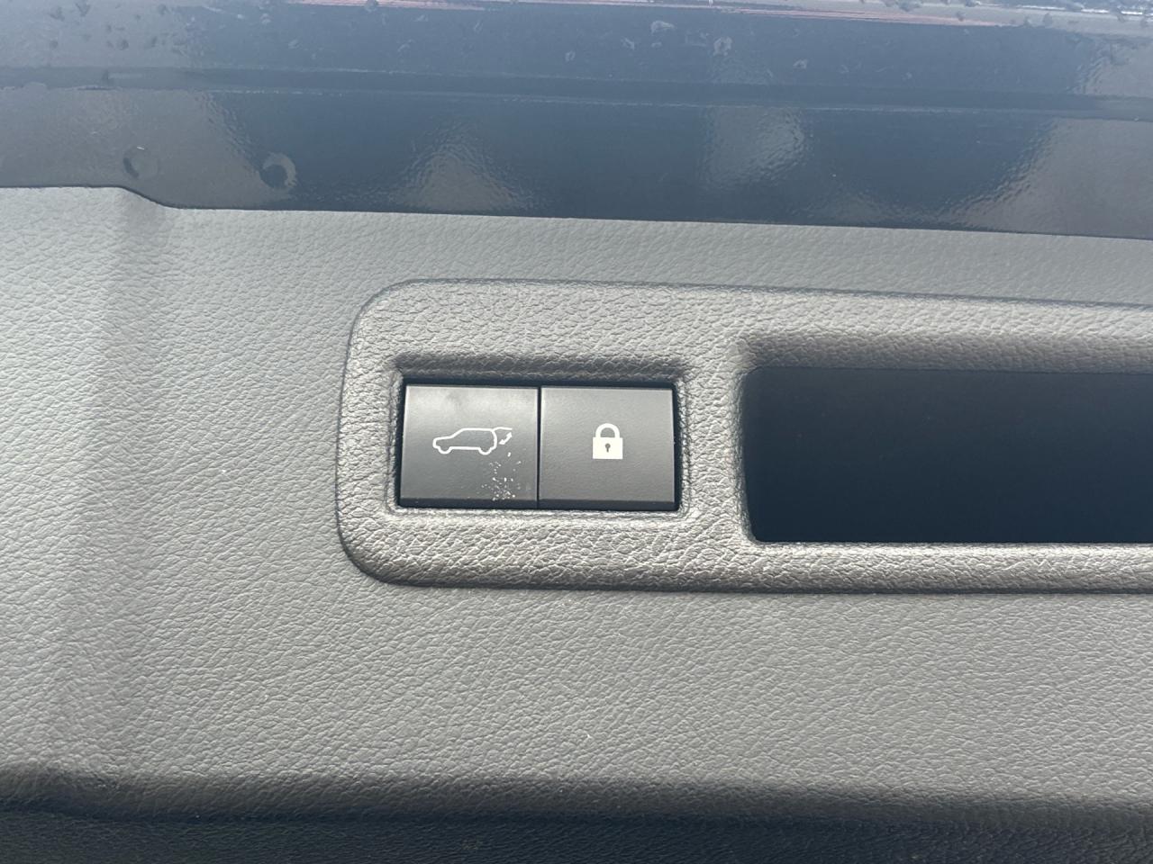 2021 Lexus NX NX 300H F-Sport 2 Hybrid AWD Photo