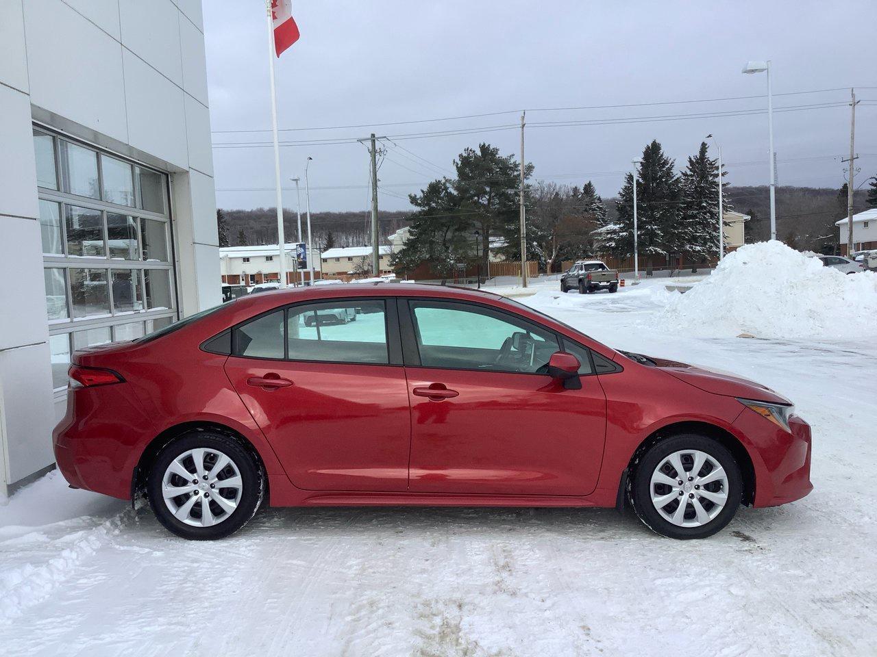 2020 Toyota Corolla  Photo