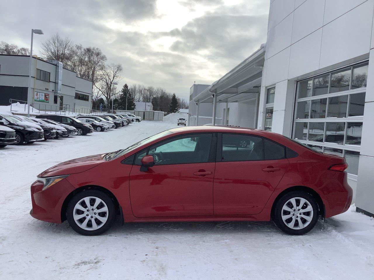 2020 Toyota Corolla  Photo