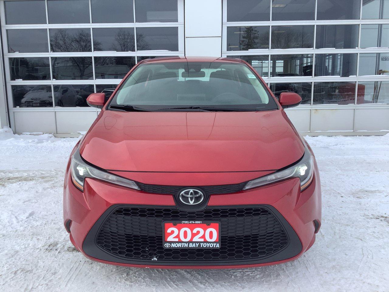 2020 Toyota Corolla  Photo