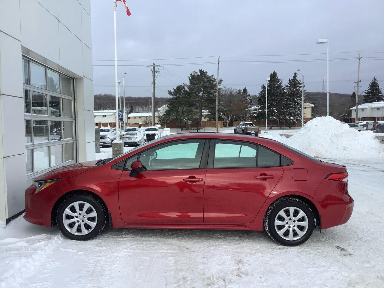 2020 Toyota Corolla  Photo