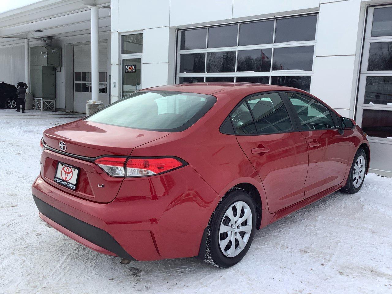 2020 Toyota Corolla  Photo