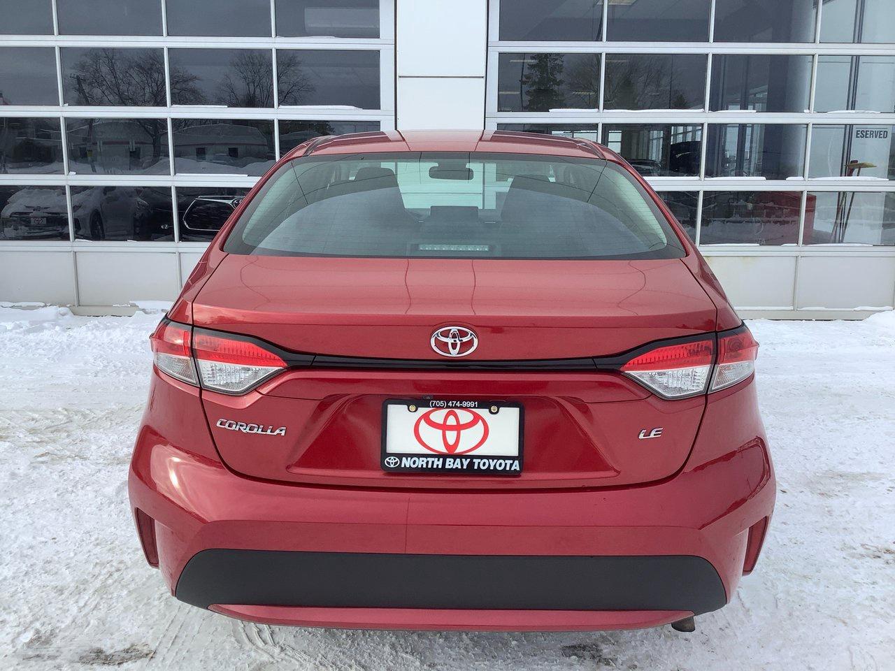 2020 Toyota Corolla  Photo