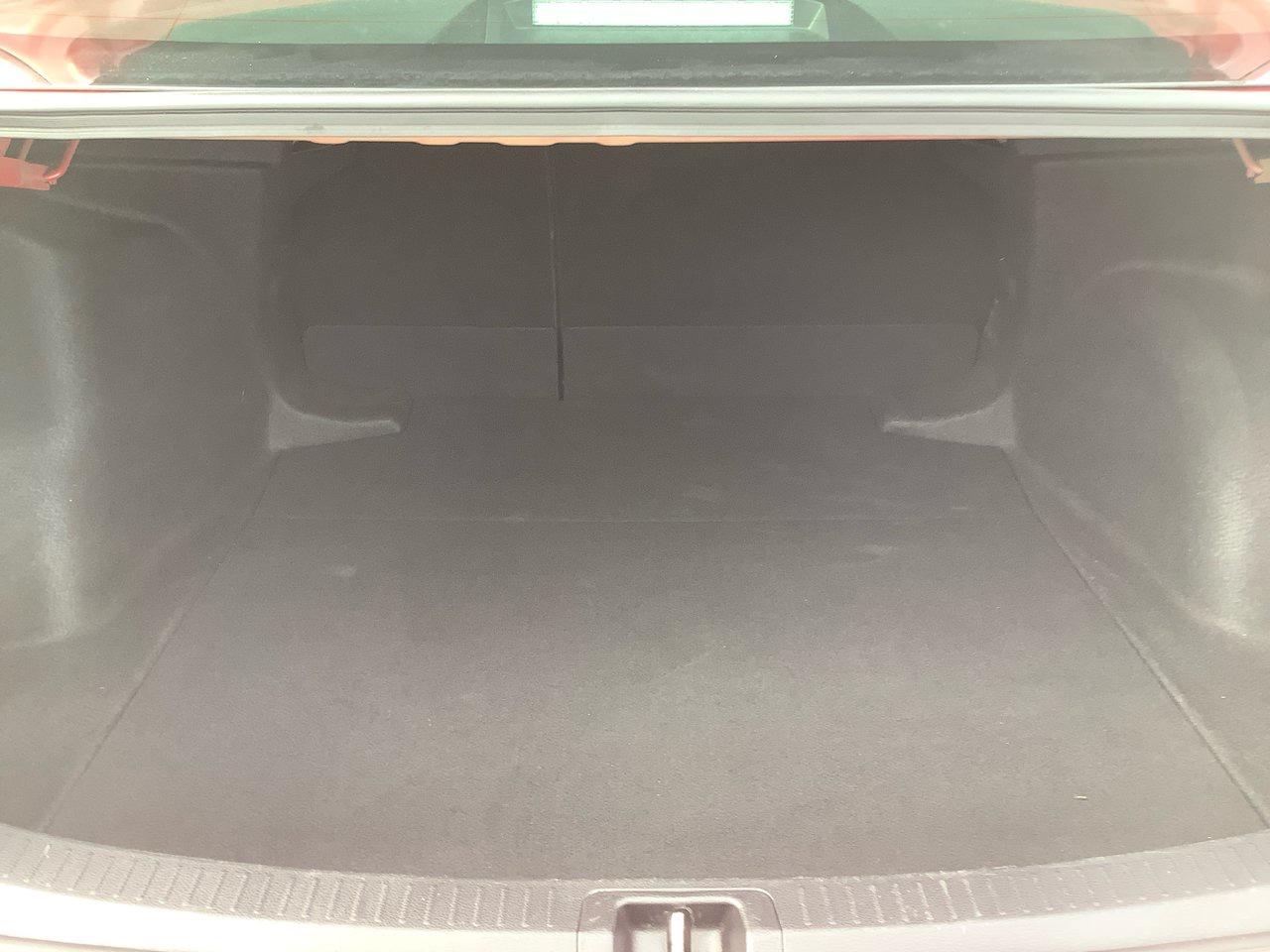 2020 Toyota Corolla  Photo