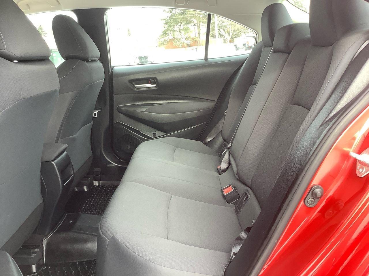 2020 Toyota Corolla  Photo