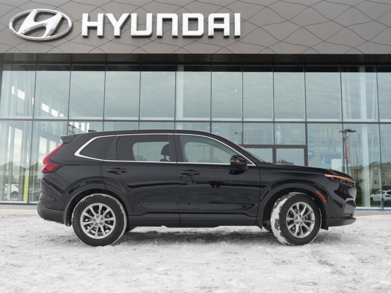 2023 Honda CR-V EX-L  - Leather Seats -  Sunroof - $223 B/W Photo