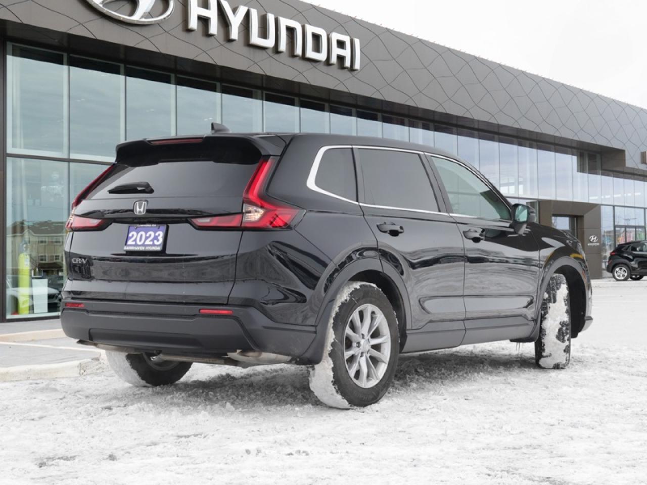 2023 Honda CR-V EX-L  - Leather Seats -  Sunroof - $223 B/W Photo2