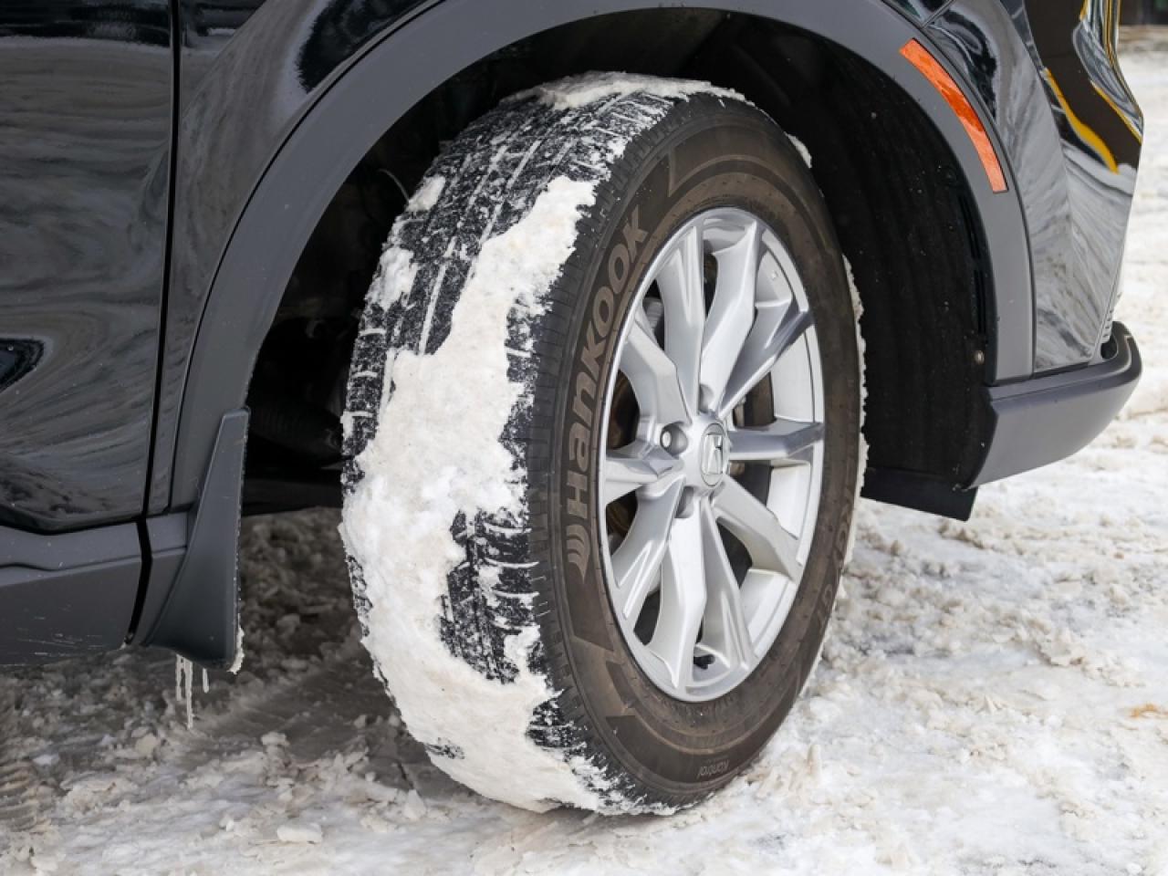 2023 Honda CR-V EX-L  - Leather Seats -  Sunroof - $223 B/W Photo