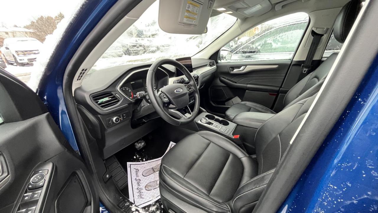 2022 Ford Escape SEL Photo