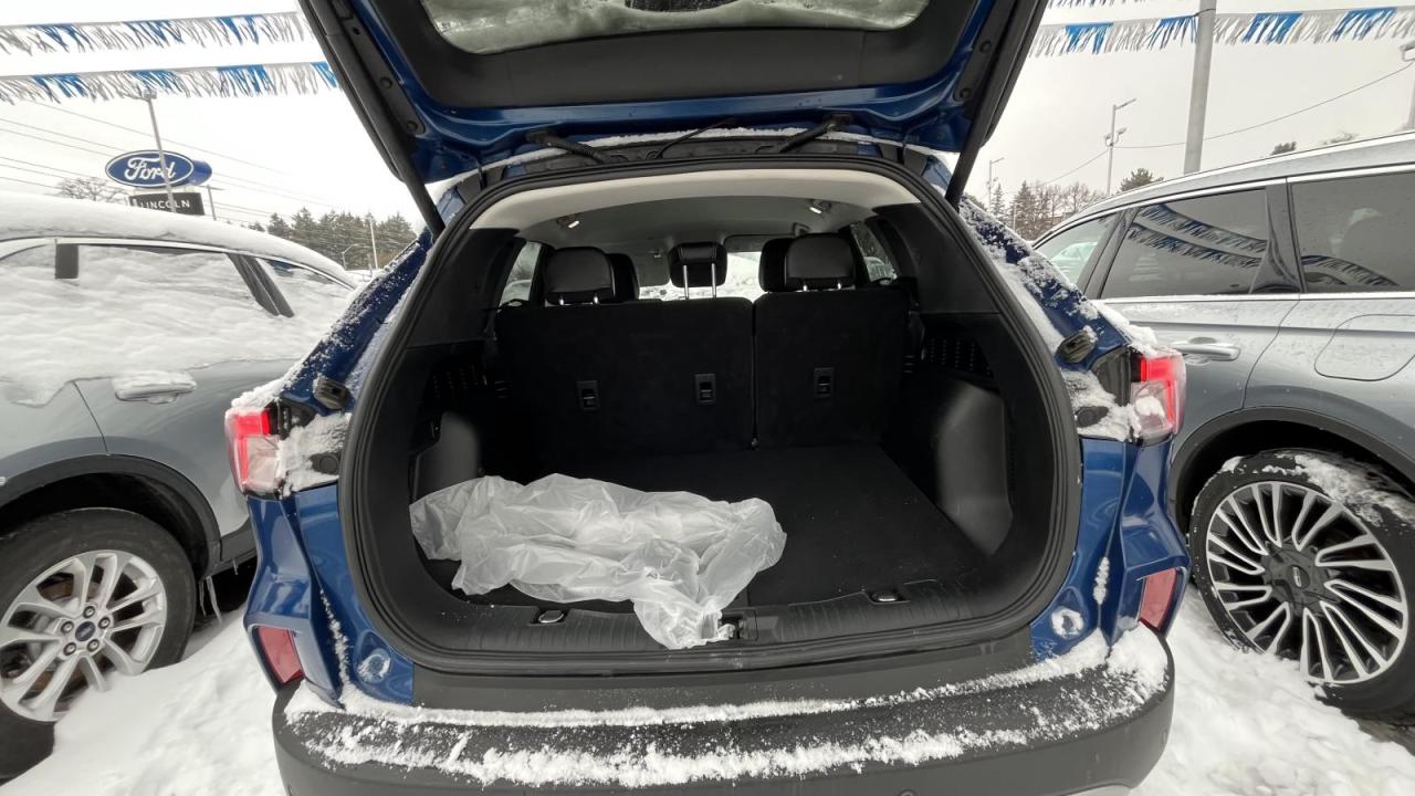 2022 Ford Escape SEL Photo