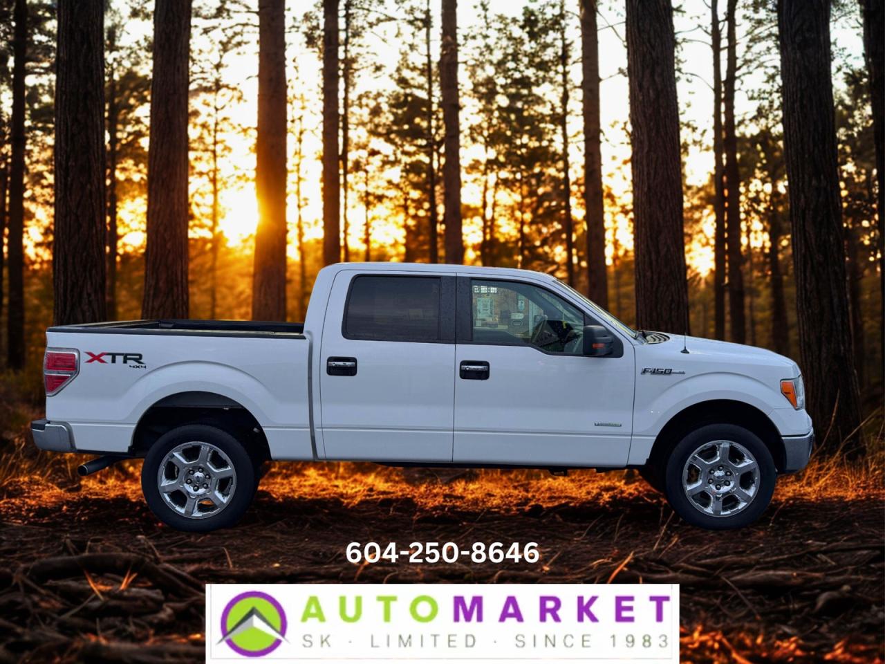 CALL OR TEXT REG @ 6-0-4-2-5-0-8-6-4-6 FOR INFO & TO CONFIRM WHICH LOCATION.<br /><br />NICE FORD F-150 XLT CREW WITH NEW TIMING CHAINS AND TURBOS. POWER SUNROOF. THROUGH THE SHOP, FULLY INSPECTED AND READY TO GO. TONS OF LIFE LEFT ON THE TIRES AND BRAKES. IT'S SUPER CLEAN AND IN GREAT SHAPE.&nbsp;<br /><br />2 LOCATIONS TO SERVE YOU, BE SURE TO CALL FIRST TO CONFIRM WHERE THE VEHICLE IS.<br /><br />We are a family owned and operated business for 40 years. Since 1983 we have been committed to offering outstanding vehicles backed by exceptional customer service, now and in the future. Whatever your specific needs may be, we will custom tailor your purchase exactly how you want or need it to be. All you have to do is give us a call and we will happily walk you through all the steps with no stress and no pressure.<br /><br />&nbsp; &nbsp; &nbsp; &nbsp; &nbsp; &nbsp; &nbsp; &nbsp; &nbsp; &nbsp; &nbsp; &nbsp; &nbsp; &nbsp; &nbsp; &nbsp; &nbsp; &nbsp; &nbsp; &nbsp; &nbsp; &nbsp; WE ARE THE HOUSE OF YES!<br /><br />ADDITIONAL BENEFITS WHEN BUYING FROM SK AUTOMARKET:<br /><br />-ON SITE FINANCING THROUGH OUR 17 AFFILIATED BANKS AND VEHICLE&nbsp; &nbsp; &nbsp; &nbsp; &nbsp; &nbsp; &nbsp; &nbsp; &nbsp; &nbsp; &nbsp; &nbsp; &nbsp; &nbsp; &nbsp; &nbsp; &nbsp; &nbsp; &nbsp; &nbsp; &nbsp; &nbsp; &nbsp; &nbsp; &nbsp; &nbsp;FINANCE COMPANIES.<br />-IN HOUSE LEASE TO OWN PROGRAM.<br />-EVERY VEHICLE HAS UNDERGONE A 120 POINT COMPREHENSIVE INSPECTION.<br />-EVERY PURCHASE INCLUDES A FREE POWERTRAIN WARRANTY.<br />-EVERY VEHICLE INCLUDES A CARFAX AND ICBC DAMAGE REPORT.<br />-EVERY VEHICLE IS GUARANTEED LIEN FREE.<br />-DISCOUNTED RATES ON PARTS AND SERVICE FOR YOUR NEW CAR AND ANY OTHER&nbsp; &nbsp;FAMILY CARS THAT NEED WORK NOW AND IN THE FUTURE.<br />-40 YEARS IN THE VEHICLE SALES INDUSTRY.<br />-A+++ MEMBER OF THE BETTER BUSINESS BUREAU.<br />-RATED&nbsp;TOP DEALER BY CARGURUS 8 YEARS IN A ROW<br />-MEMBER&nbsp;IN GOOD STANDING WITH THE VEHICLE SALES AUTHORITY OF BRITISH&nbsp; &nbsp;COLUMBIA.<br />-MEMBER OF THE AUTOMOTIVE RETAILERS ASSOCIATION.<br />-COMMITTED CONTRIBUTOR TO OUR LOCAL COMMUNITY AND THE RESIDENTS OF BC.<br /> This vehicle has been Fully Inspected, Certified and Qualifies for Our Free Extended Warranty.Don't forget to ask about our Great Finance and Lease Rates. We also have a Options for Buy Here Pay Here and Lease to Own for Good Customers in Bad Situations. 2 locations to help you, White Rock and Langley. Be sure to call before you come to confirm the vehicles location and availability or look us up at www.automarketsales.com. White Rock 604-542-4970 and Langley 604-533-1310. Serving Surrey, Delta, Langley, Richmond, Vancouver, all of BC and western Canada. Financing & leasing available. CALL SK AUTOMARKET LTD. 6045424970. Call us toll-free at 1 877 813-6807. $999 Documentation fee (negotiable) and applicable taxes are in addition to advertised prices. LANGLEY LOCATION DEALER# 40038 S. SURREY LOCATION DEALER #9987