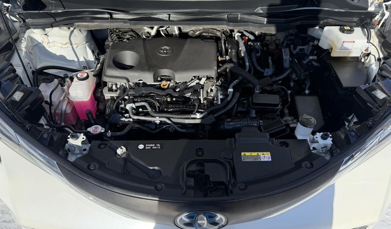 2021 Toyota Sienna XLE 8-Passenger FWD Photo