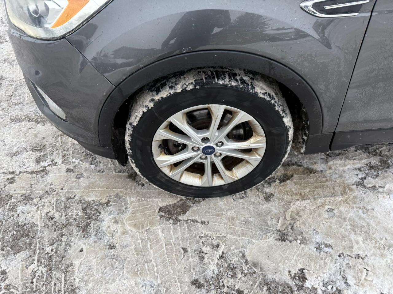 2017 Ford Escape SE, TRANSMISSION ISSUE, ENGINE RUNS GOOD, AS IS Photo