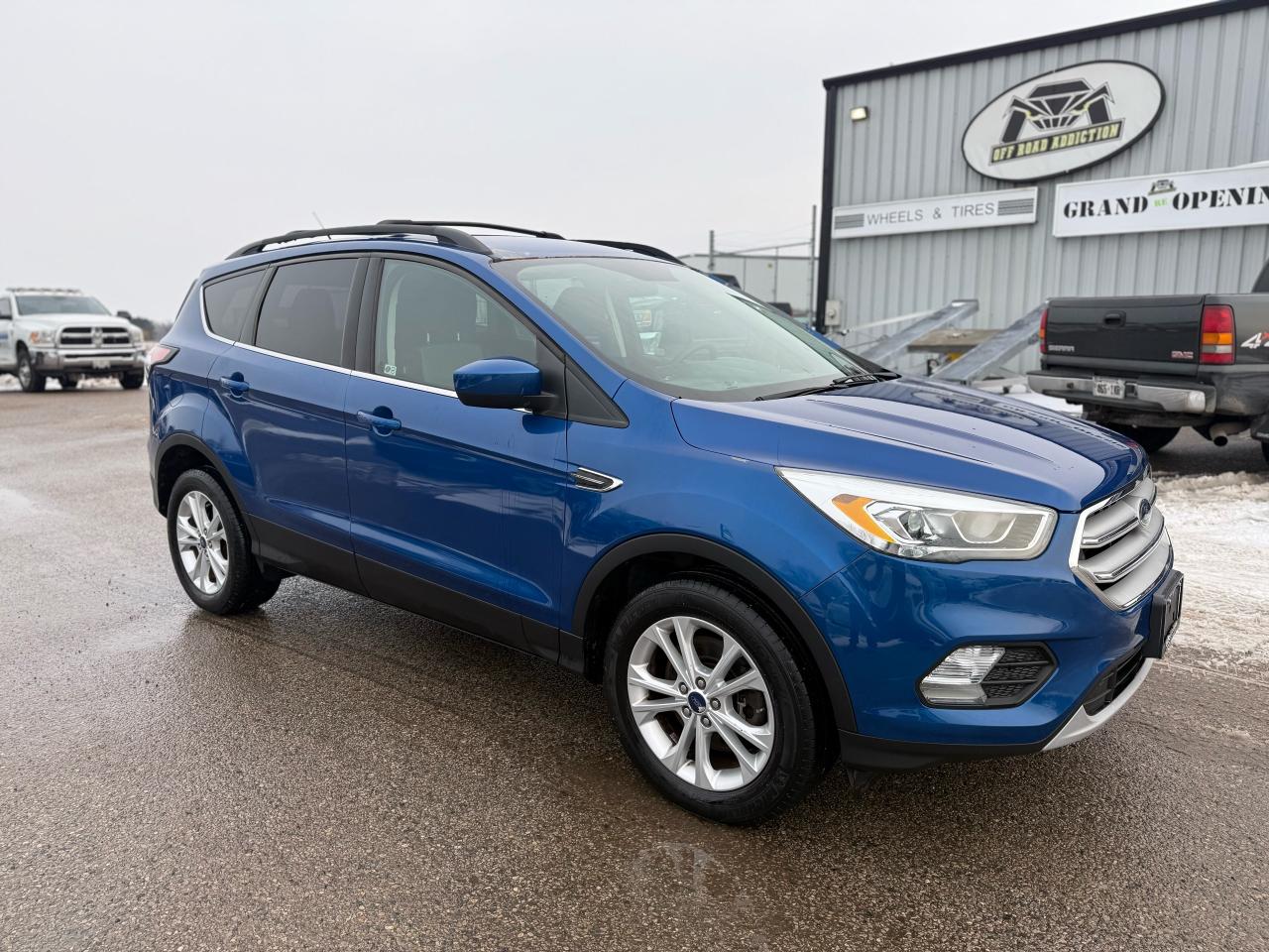 2017 Ford Escape SE Photo
