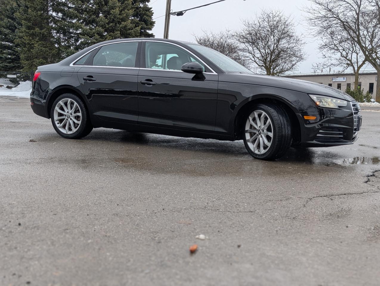 2017 Audi A4 Progressiv Photo