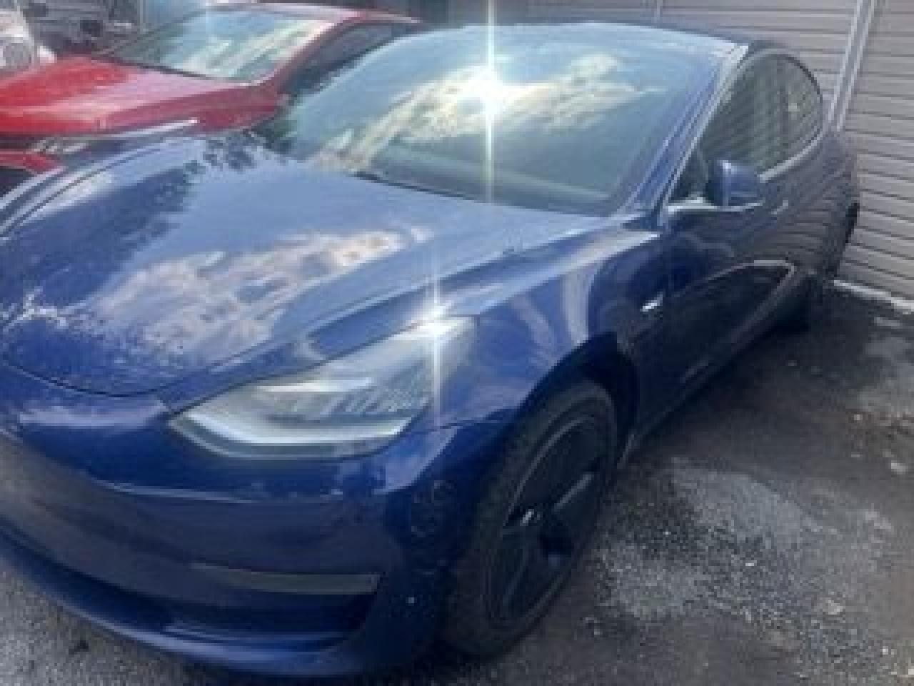 2019 Tesla Model 3 Standard Range Photo