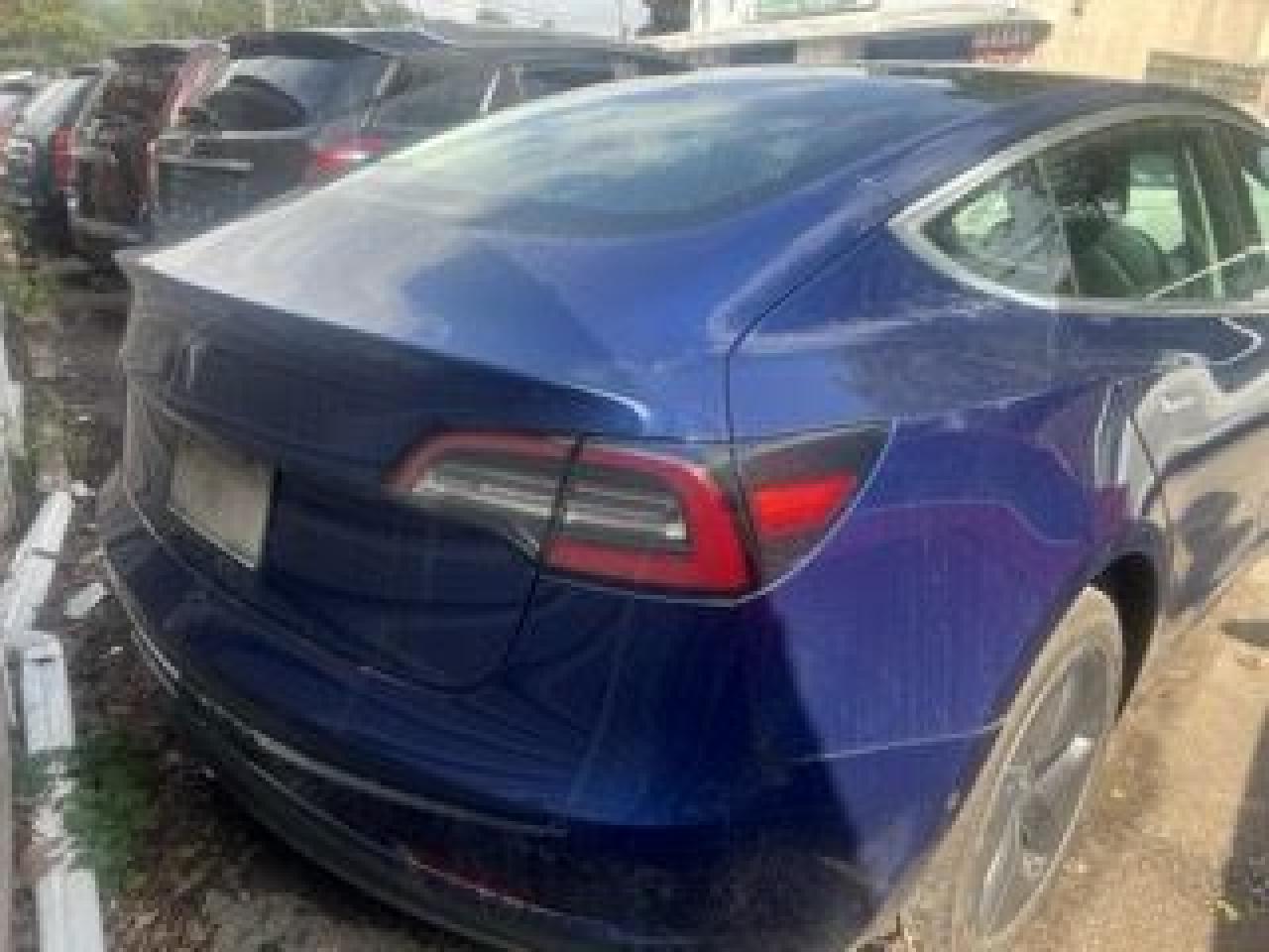 2019 Tesla Model 3 Standard Range Photo