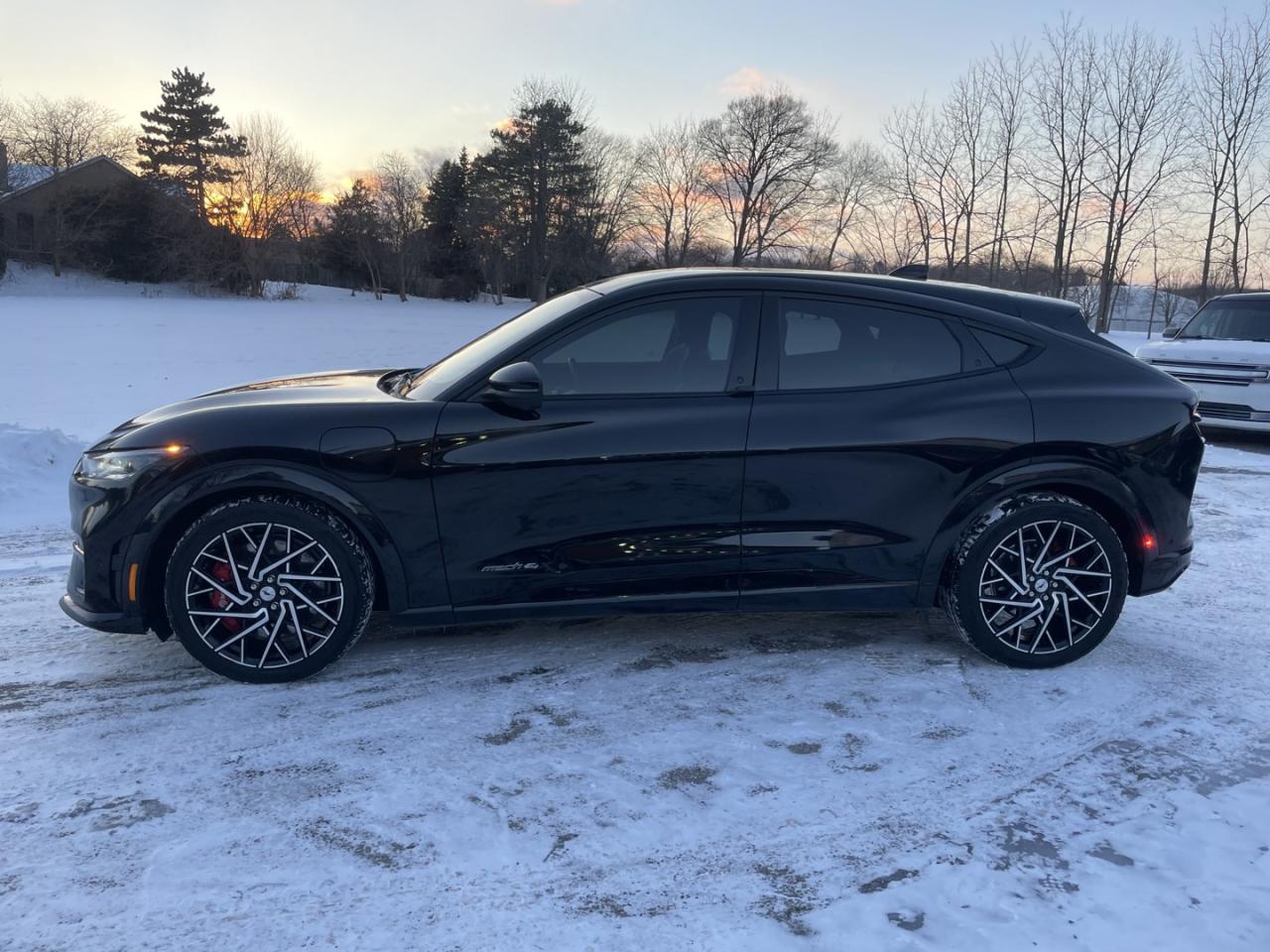 2021 Ford Mustang Mach-E Gt Performance Photo
