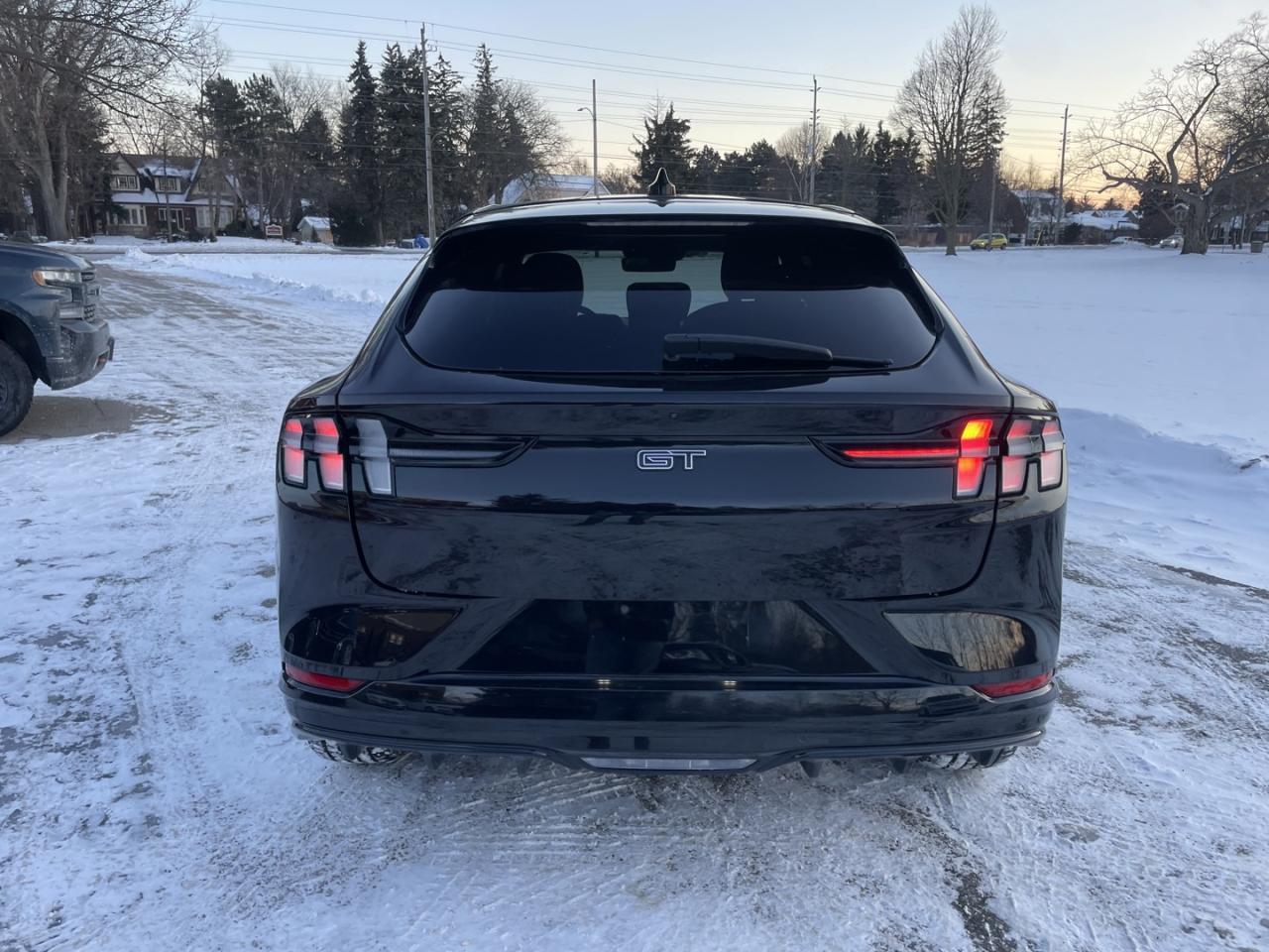 2021 Ford Mustang Mach-E Gt Performance Photo