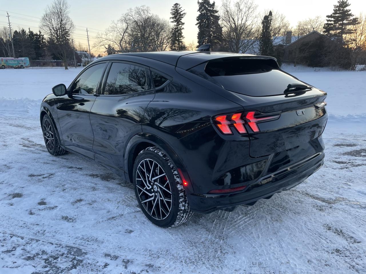 2021 Ford Mustang Mach-E Gt Performance Photo