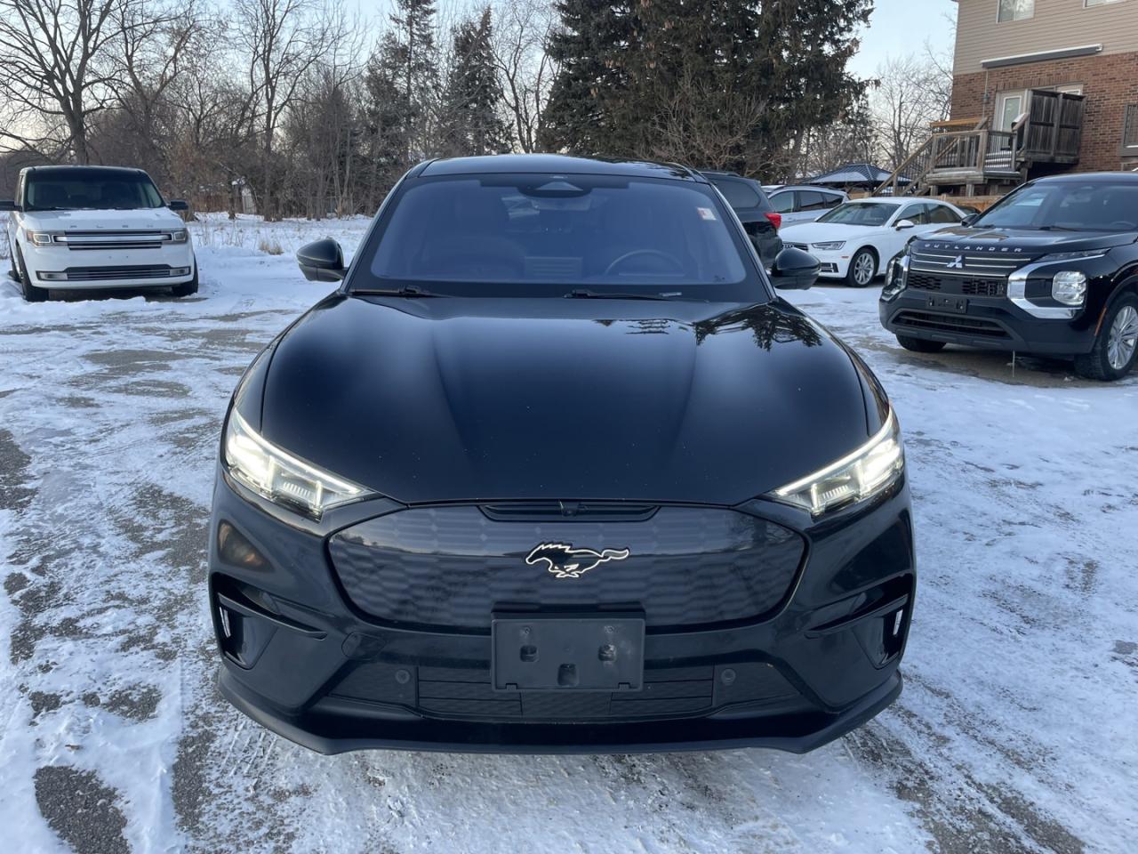 2021 Ford Mustang Mach-E Gt Performance Photo