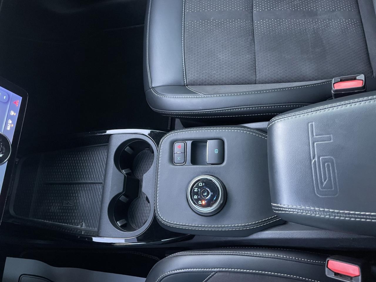 2021 Ford Mustang Mach-E Gt Performance Photo