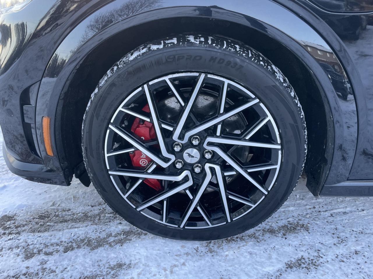 2021 Ford Mustang Mach-E Gt Performance Photo