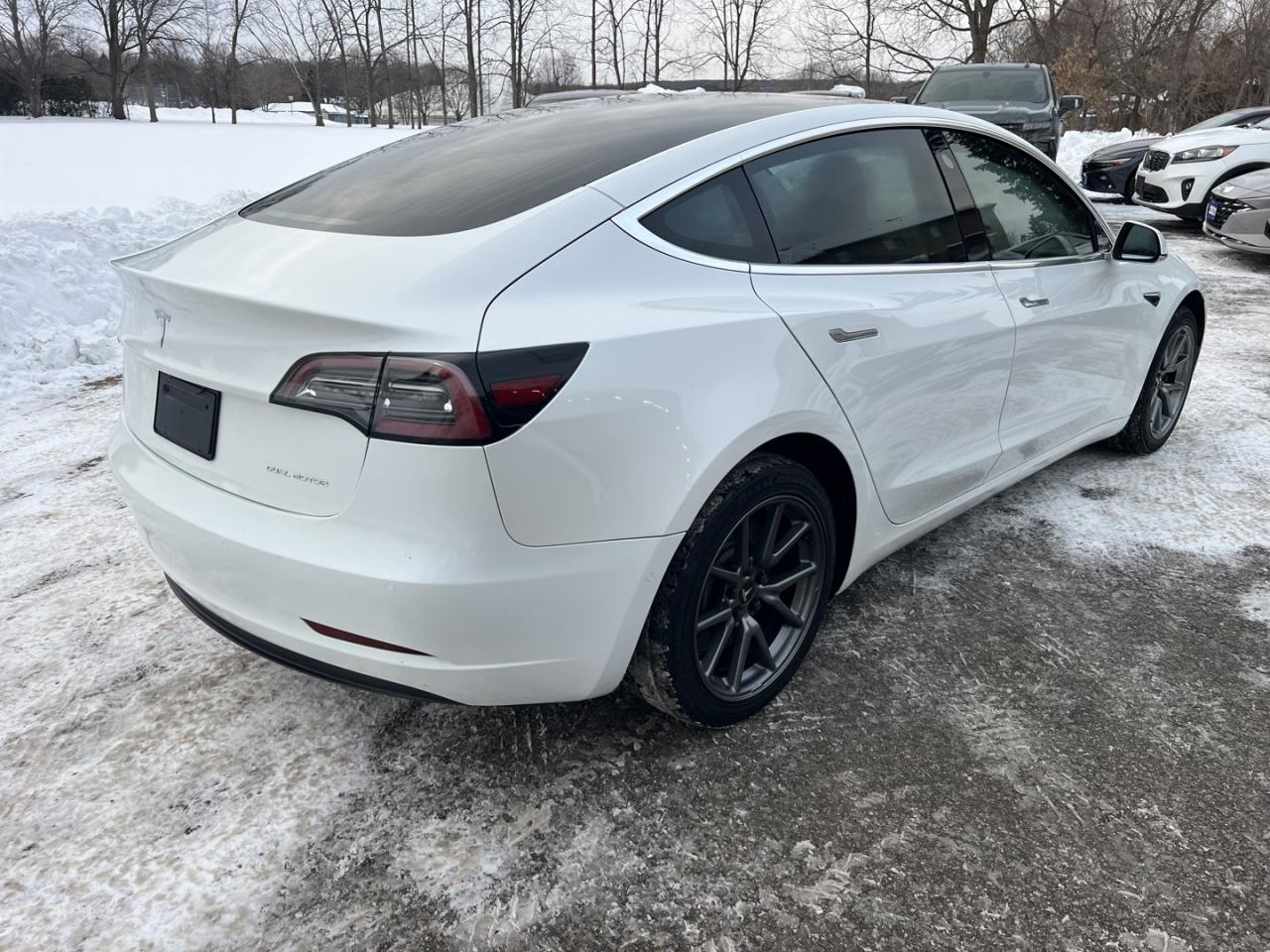2020 Tesla Model 3 Long Range AWD Photo