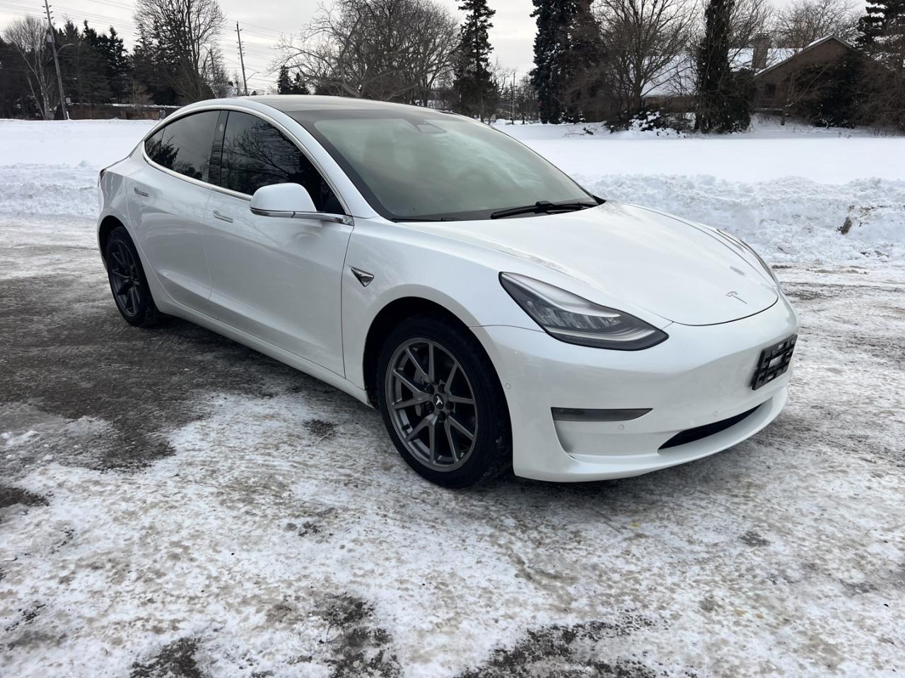 2020 Tesla Model 3 Long Range AWD Photo