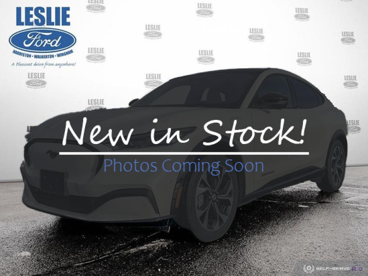 2021 Ford Mustang Mach-E Premium AWD Photo0